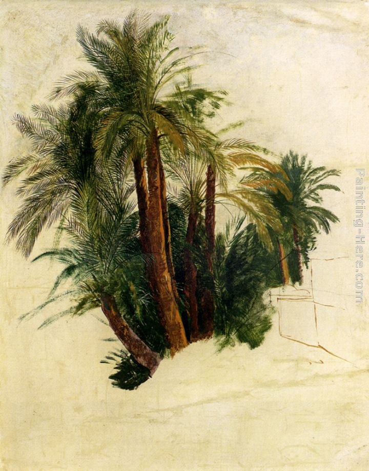 Edward Lear Study Of Palm Trees